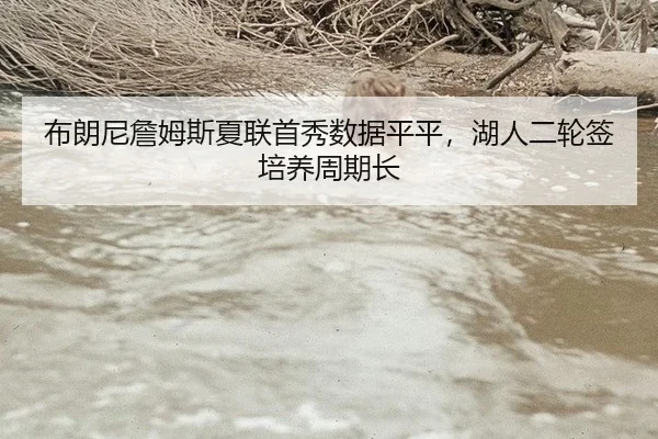 布朗尼詹姆斯夏联首秀数据平平，湖人二轮签培养周期长