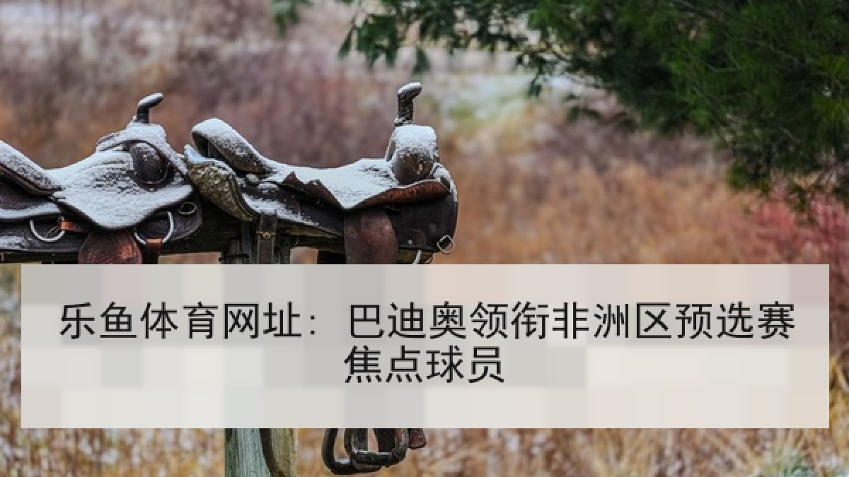 乐鱼体育网址: 巴迪奥领衔非洲区预选赛焦点球员