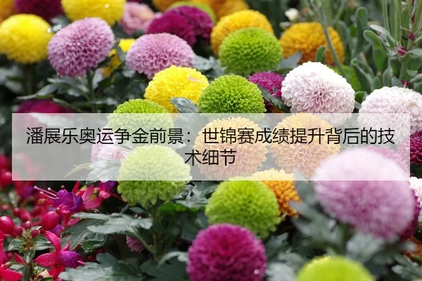 潘展乐奥运争金前景：世锦赛成绩提升背后的技术细节
