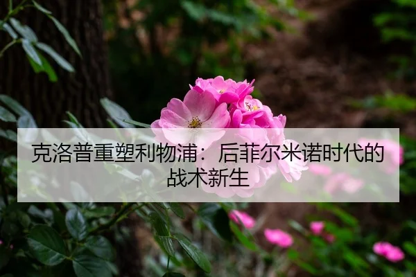 ke-luo-pu-zhong-su-li-wu-pu-hou-fei-er-mi-nuo-shi-dai-de-zhan-shu-xin-sheng-3-707.jpg