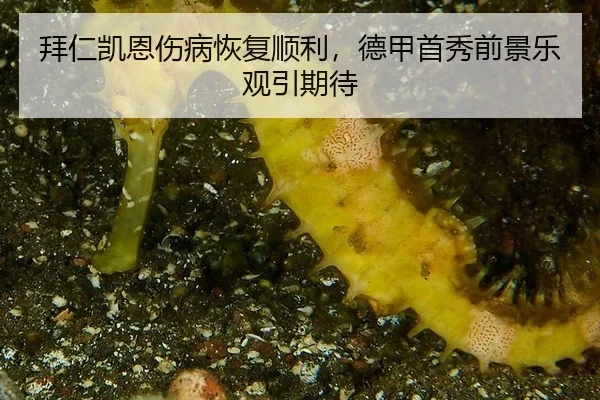 bai-ren-kai-en-shang-bing-hui-fu-shun-li-de-jia-shou-xiu-qian-jing-le-guan-yin-qi-dai-3-357.jpg