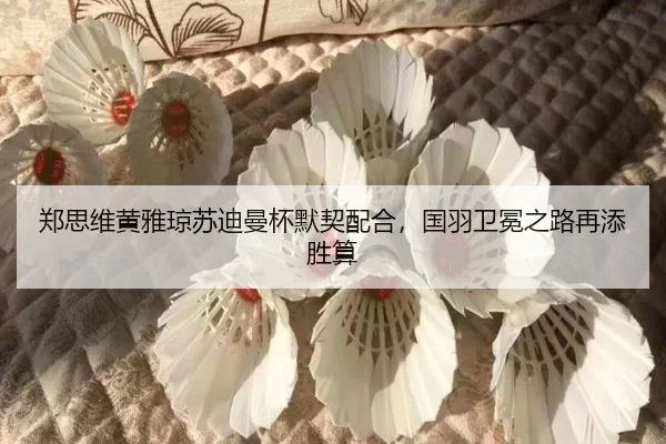 郑思维黄雅琼苏迪曼杯默契配合，国羽卫冕之路再添胜算