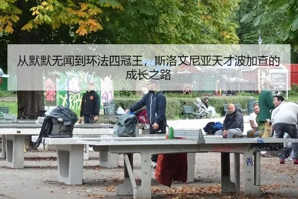 cong-mo-mo-wu-wen-dao-huan-fa-si-guan-wang-si-luo-wen-ni-ya-tian-cai-bo-jia-cha-de-cheng-zhang-zhi-lu-3-754.jpg