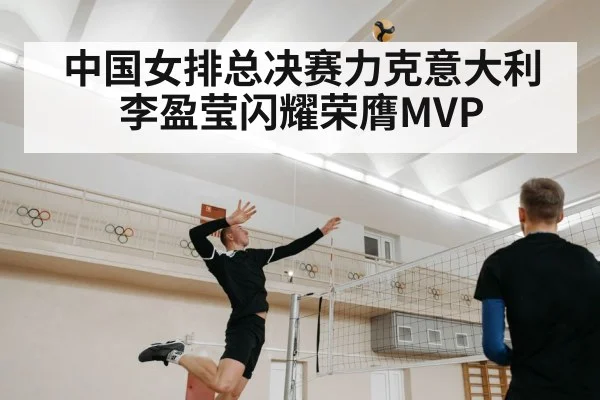 volleyball spike player
