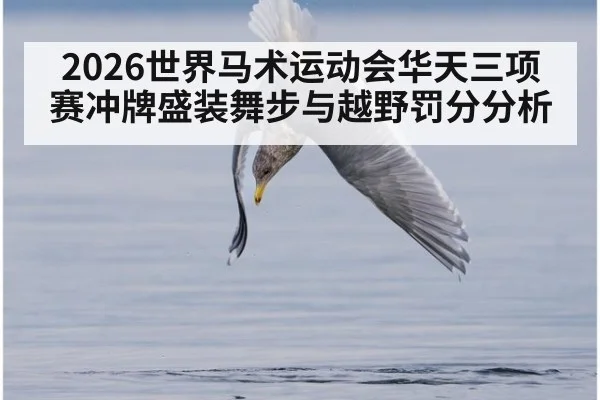 2026世界马术运动会华天三项赛冲牌盛装舞步与越野罚分分析